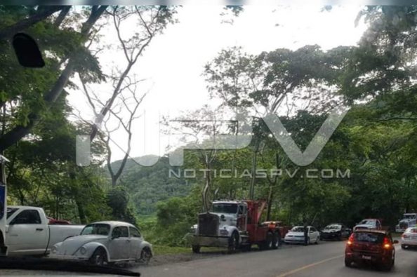 Seguridad Bahia de Banderas ·3254