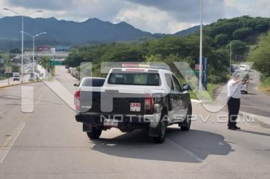 Seguridad Bahia de Banderas ·3313
