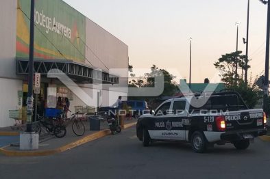 Seguridad Bahia de Banderas ·3992