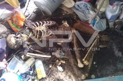 Seguridad Bahia de Banderas ·949