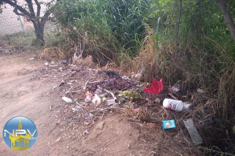 WhatsApp Image 2019-09-01 at 11.12.16 AM (1)