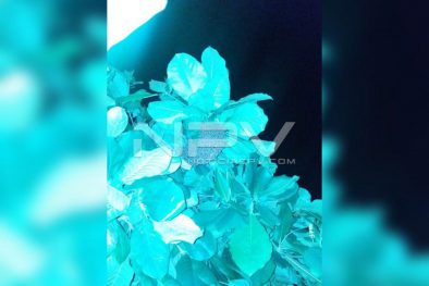 WhatsApp Image 2019-09-02 at 9.51.31 PM (1)