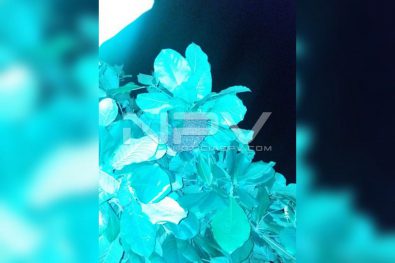 WhatsApp Image 2019-09-02 at 9.51.31 PM (1)