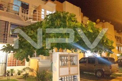 WhatsApp Image 2019-09-02 at 9.51.31 PM (3)