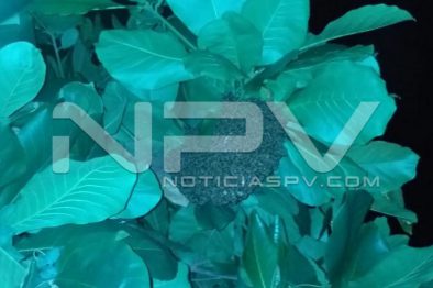 WhatsApp Image 2019-09-02 at 9.51.31 PM