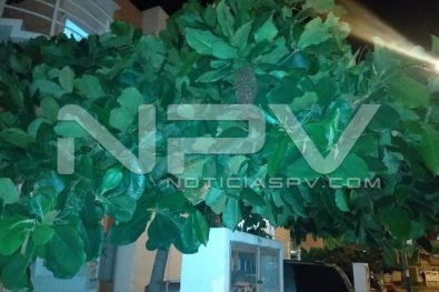 WhatsApp Image 2019-09-02 at 9.51.31 PM (5)