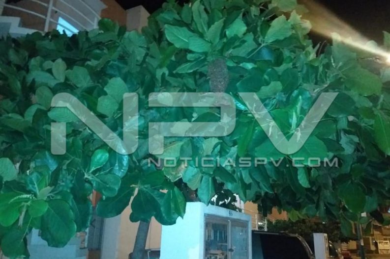 WhatsApp Image 2019-09-02 at 9.51.31 PM (5)