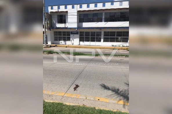 WhatsApp Image 2019-09-09 at 11.16.56 PM (1)