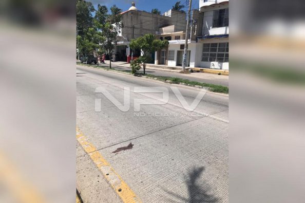 WhatsApp Image 2019-09-09 at 11.16.56 PM (2)