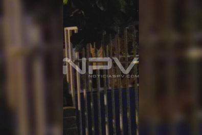 WhatsApp Image 2019-09-14 at 12.53.59 AM