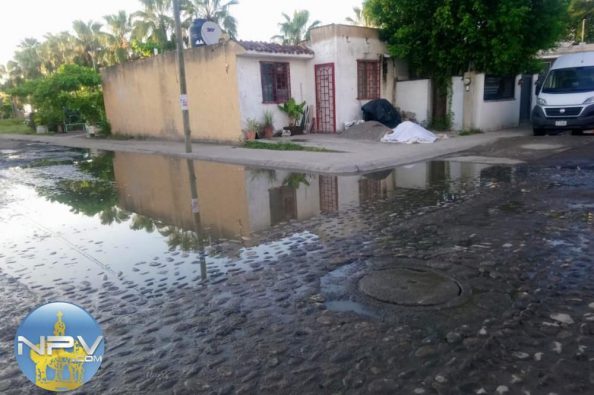 FOTOS 4746