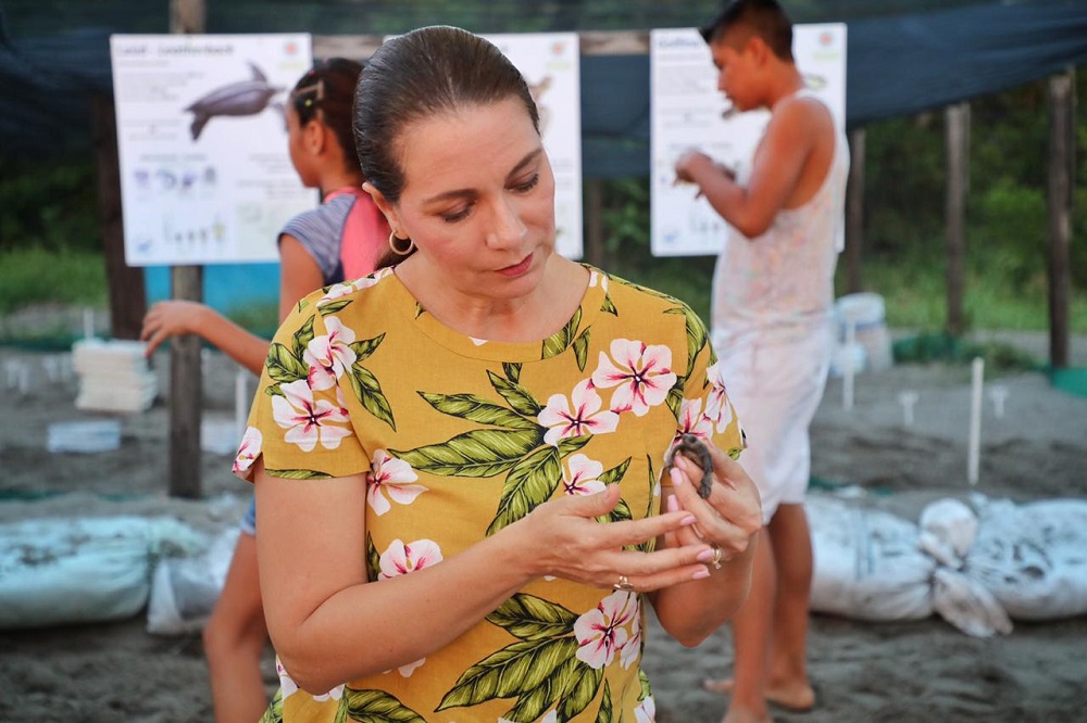 LIBERAN TORTUGAS NIÑOS CAM BUCERIAS DIF (1)