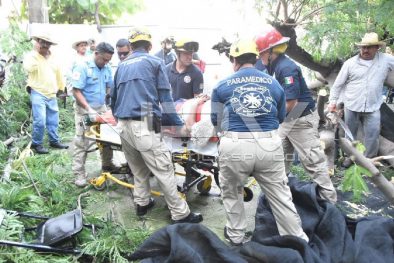 SEGURIDAD2227