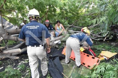SEGURIDAD2229