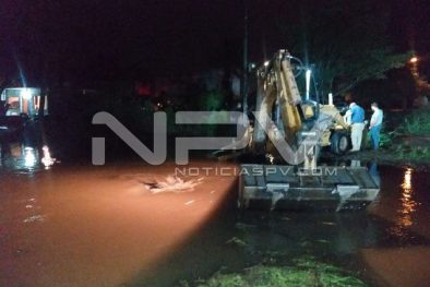 SEGURIDAD2232