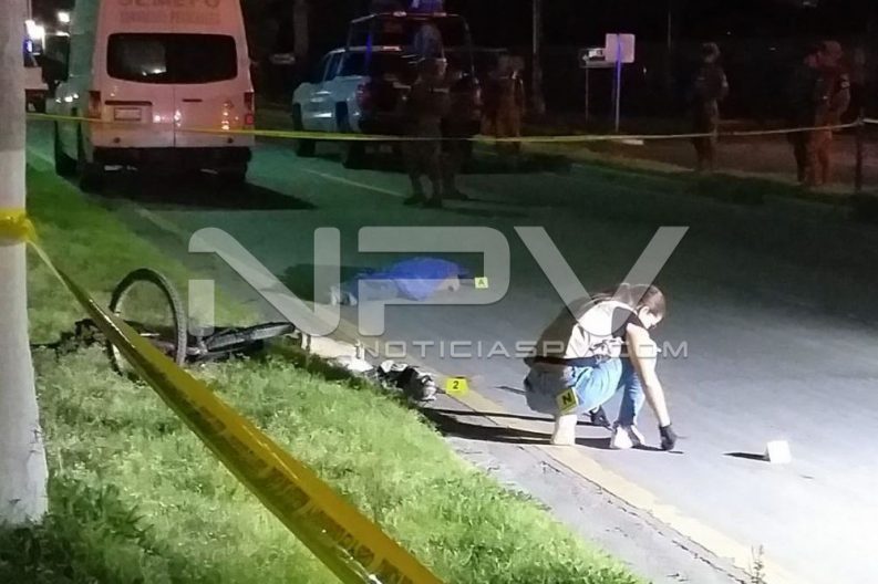 SEGURIDAD2233
