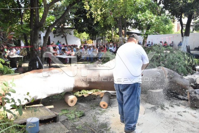 SEGURIDAD2238