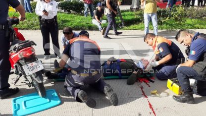 SEGURIDAD2241