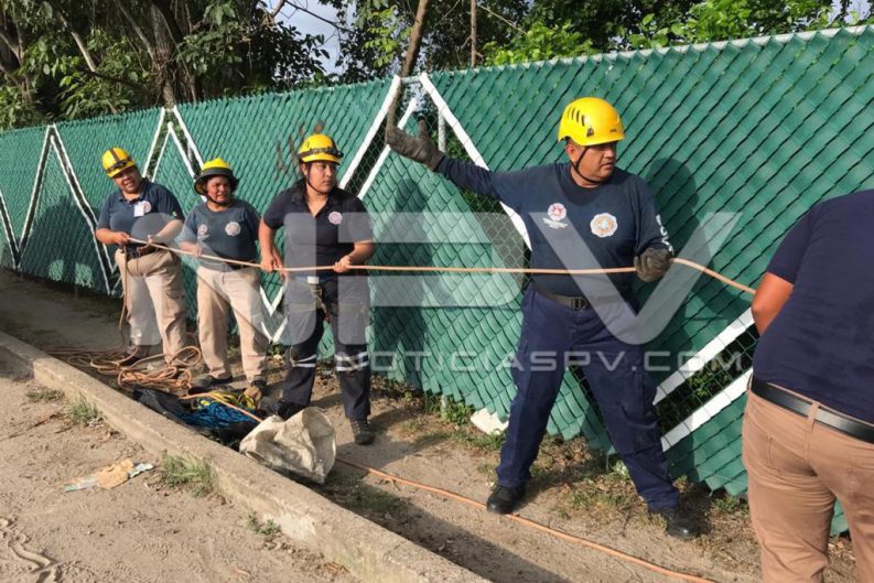 Seguridad 2591