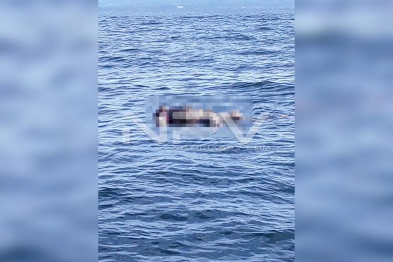 Seguridad Bahia de Banderas ·2418