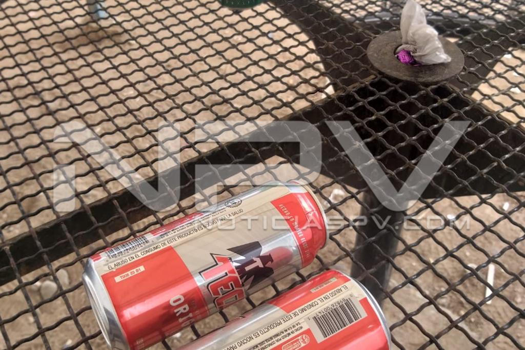 Seguridad Bahia de Banderas ·2629