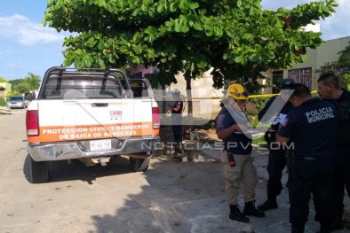 Seguridad Bahia de Banderas ·3128