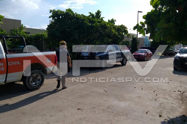 Seguridad Bahia de Banderas ·3133