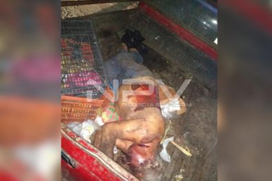 Seguridad Bahia de Banderas ·3206