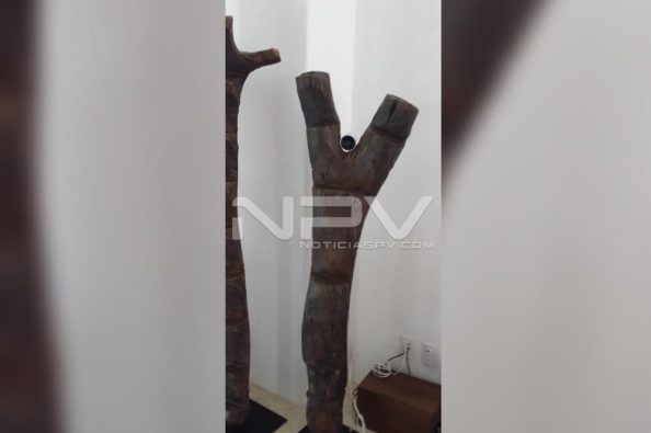 Seguridad Bahia de Banderas ·3424