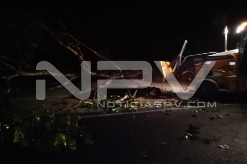 Seguridad Bahia de Banderas ·3799