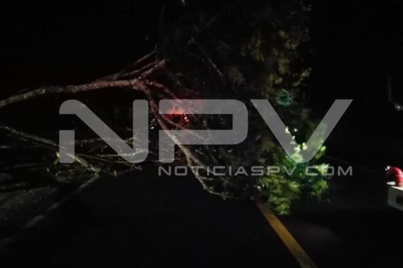 Seguridad Bahia de Banderas ·3804