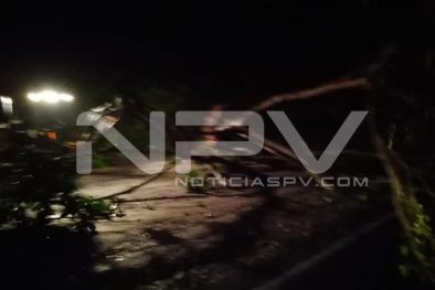 Seguridad Bahia de Banderas ·3805