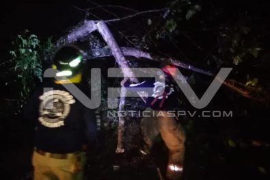 Seguridad Bahia de Banderas ·3808