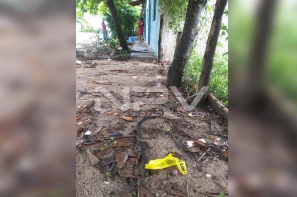 Seguridad Bahia de Banderas ·3984