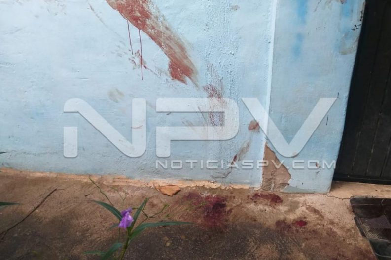 Seguridad Bahia de Banderas ·3987