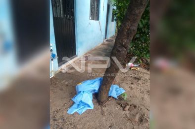 Seguridad Bahia de Banderas ·3995