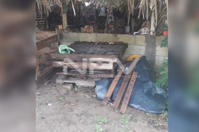 Seguridad Bahia de Banderas ·4227