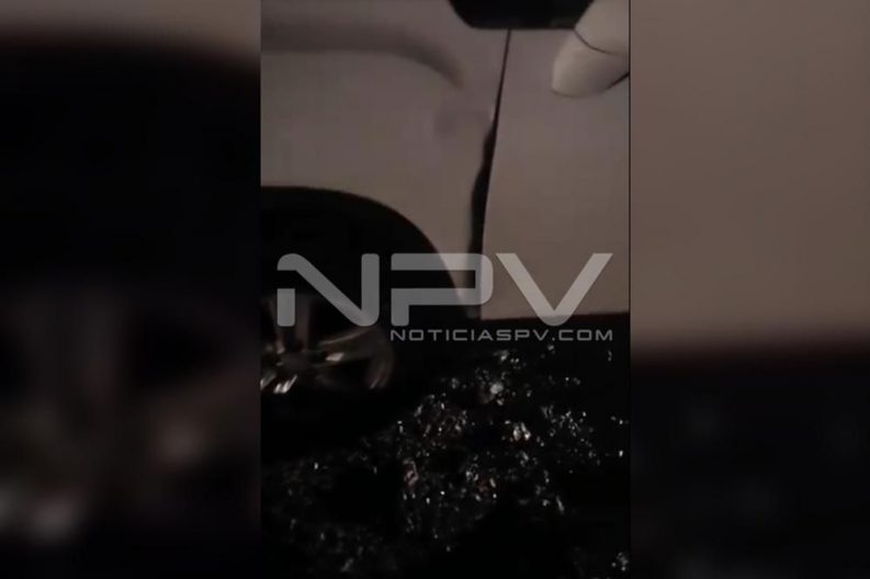 Seguridad Bahia de Banderas ·4246