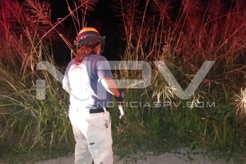 Seguridad Bahia de Banderas ·4862