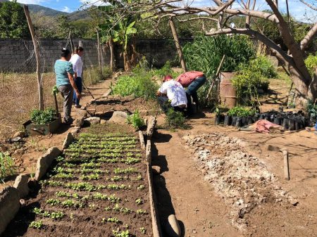 DIF APOYO ALIMENTICIO (1)