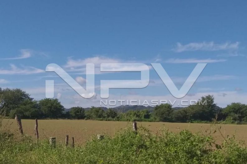 Seguridad Bahia de Banderas ·1437