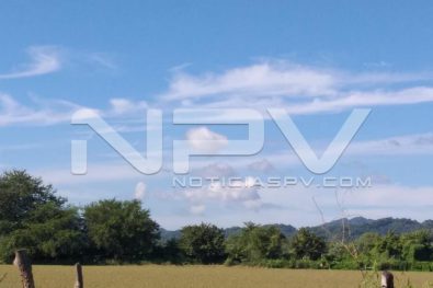 Seguridad Bahia de Banderas ·1439