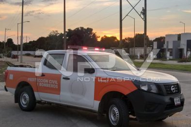 Seguridad Bahia de Banderas ·1555