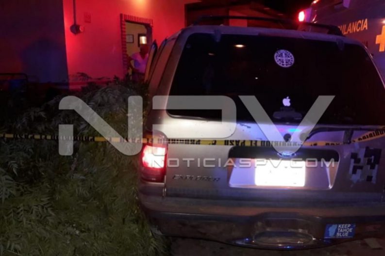 Seguridad Bahia de Banderas ·239