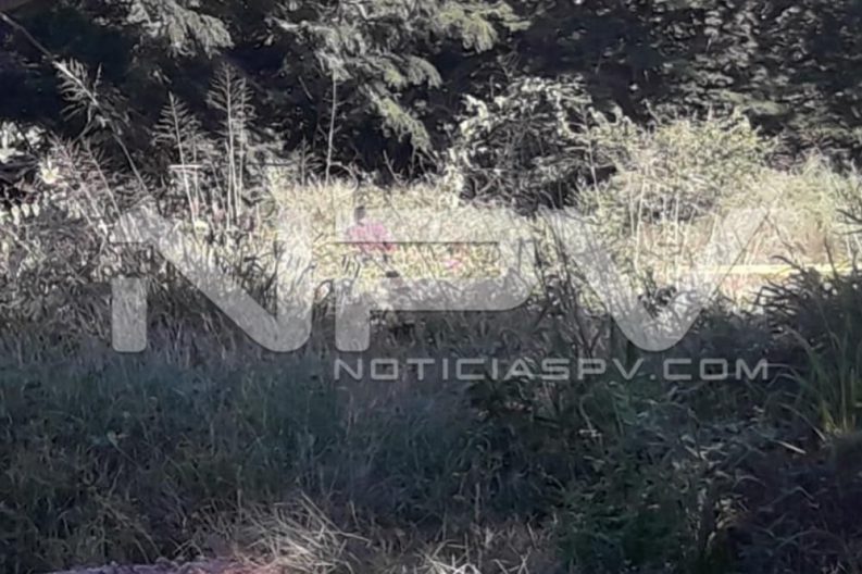 Seguridad Bahia de Banderas ·5326