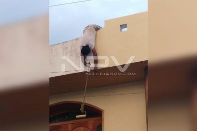 WhatsApp Image 2019-11-15 at 8.16.24 PM