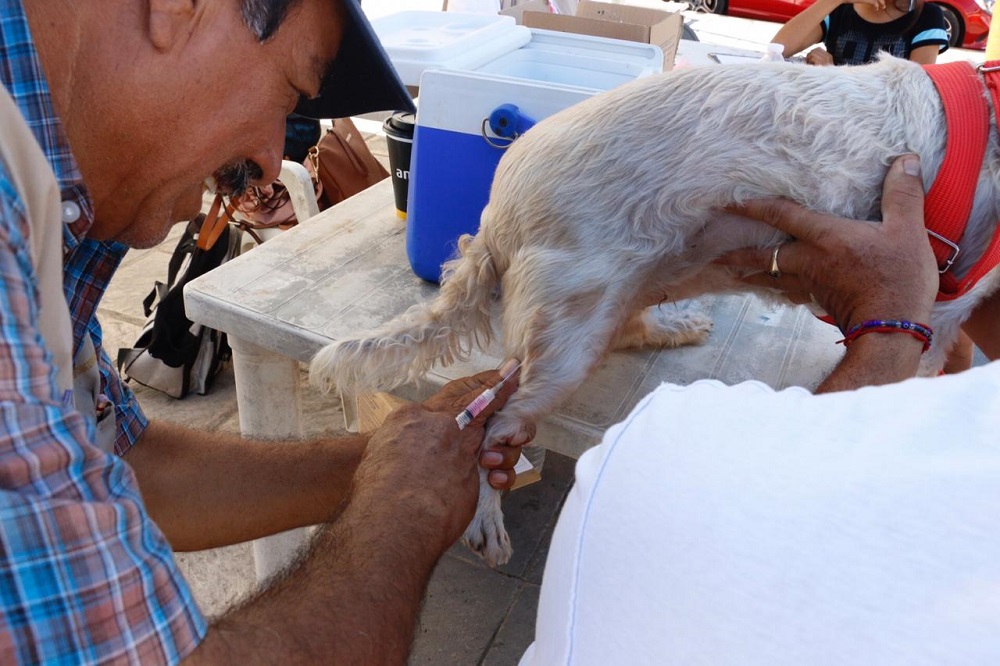 COMUNICADO 1116-DIF-8a Jornada Familia Saludable-Pitillal (10)