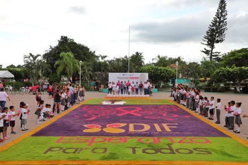 DIF SOLIDARIO (1)