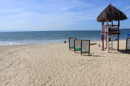 OPERATIVO PLAYAS - SERVICIOS PUBLICOS (2)