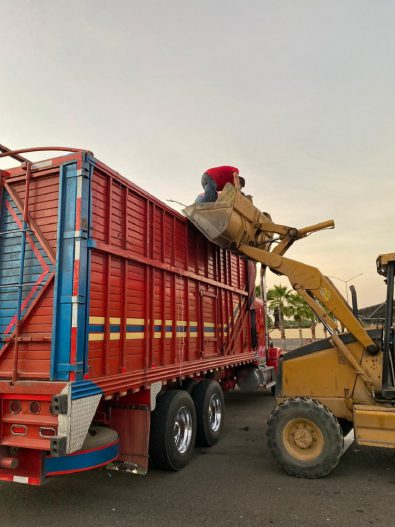 RECICLON 2019 (1)